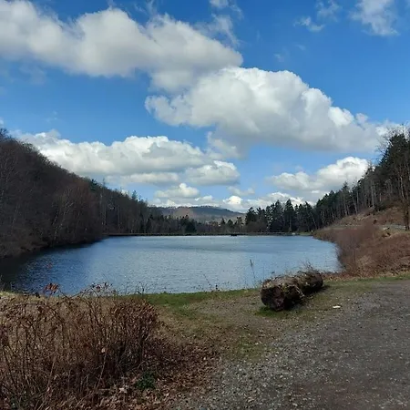 In With Wi-fi Dom wakacyjny *