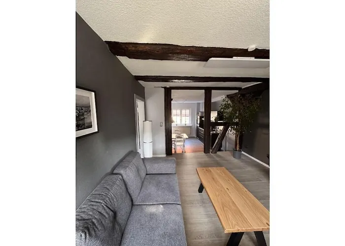 度假居 In With Wi-fi 朗格尔斯海姆